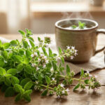 Un bouquet de marjolaine fraîche, certaines branches en fleurs, sur une table en bois avec une tasse de tisane fumante et un mortier.