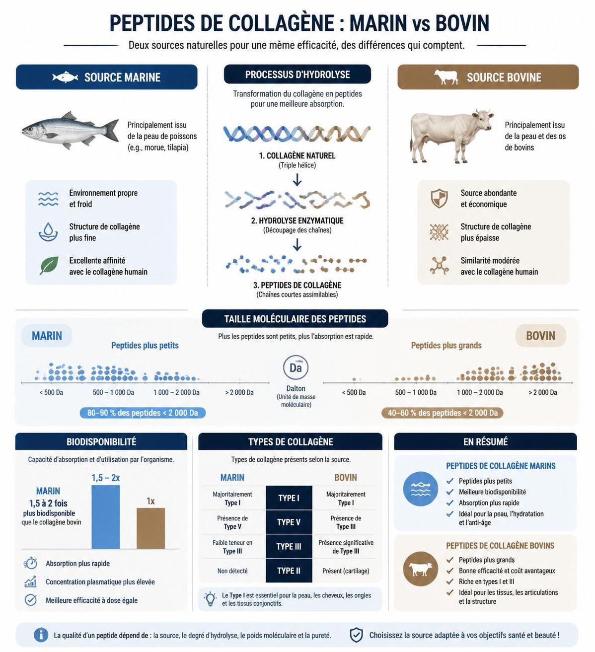 découvrez les 7 peptides de collagène indispensables pour choisir le meilleur produit adapté à vos besoins et améliorer la santé de votre peau, cheveux et articulations.