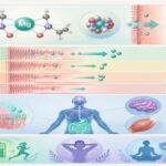 découvrez pourquoi le magnésium bisglycinate est la forme de magnésium la mieux absorbée. comparatif complet et avis pour bien choisir votre supplément.