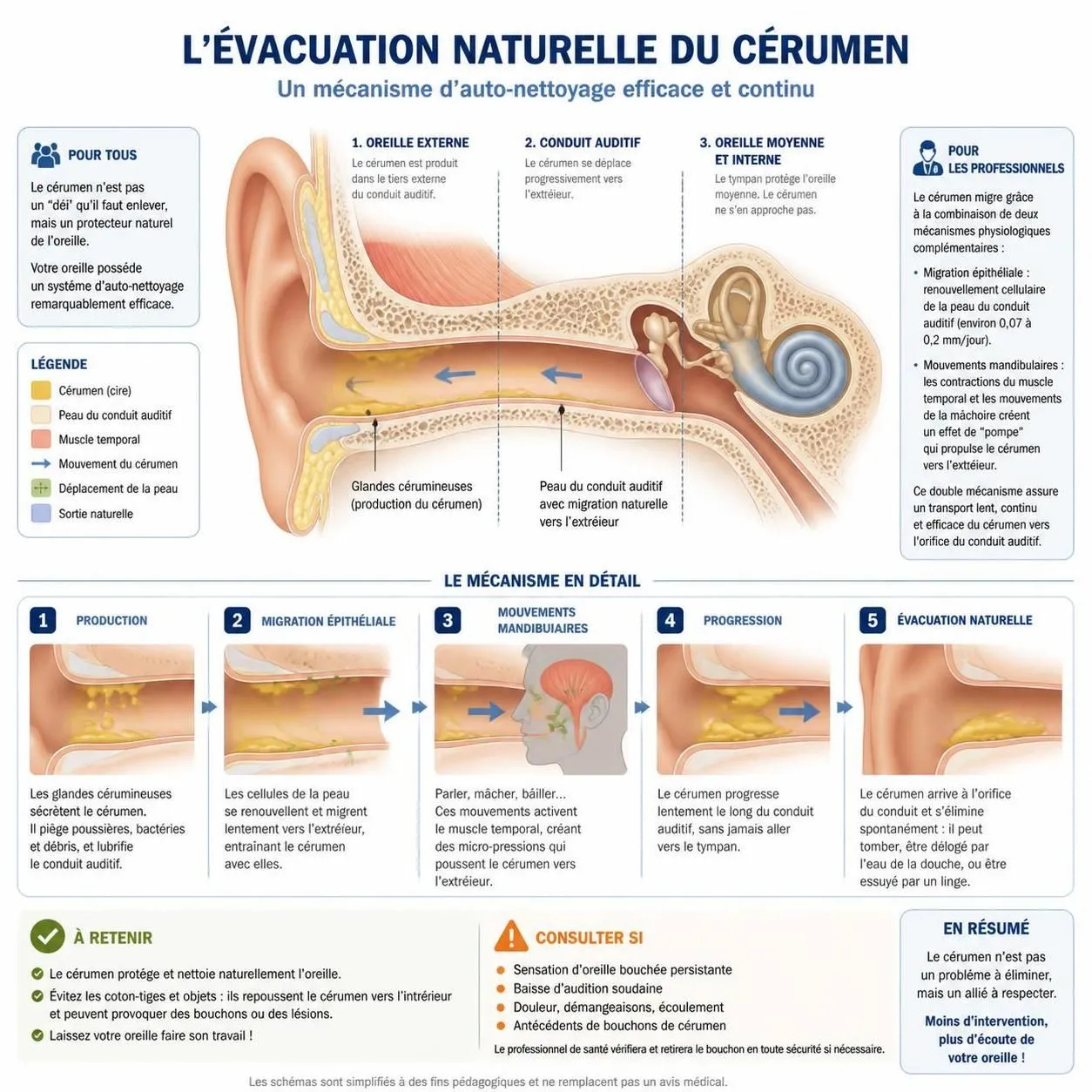 découvrez la méthode efficace pour nettoyer vos oreilles en toute sécurité et évitez les erreurs courantes qui peuvent endommager votre conduit auditif.