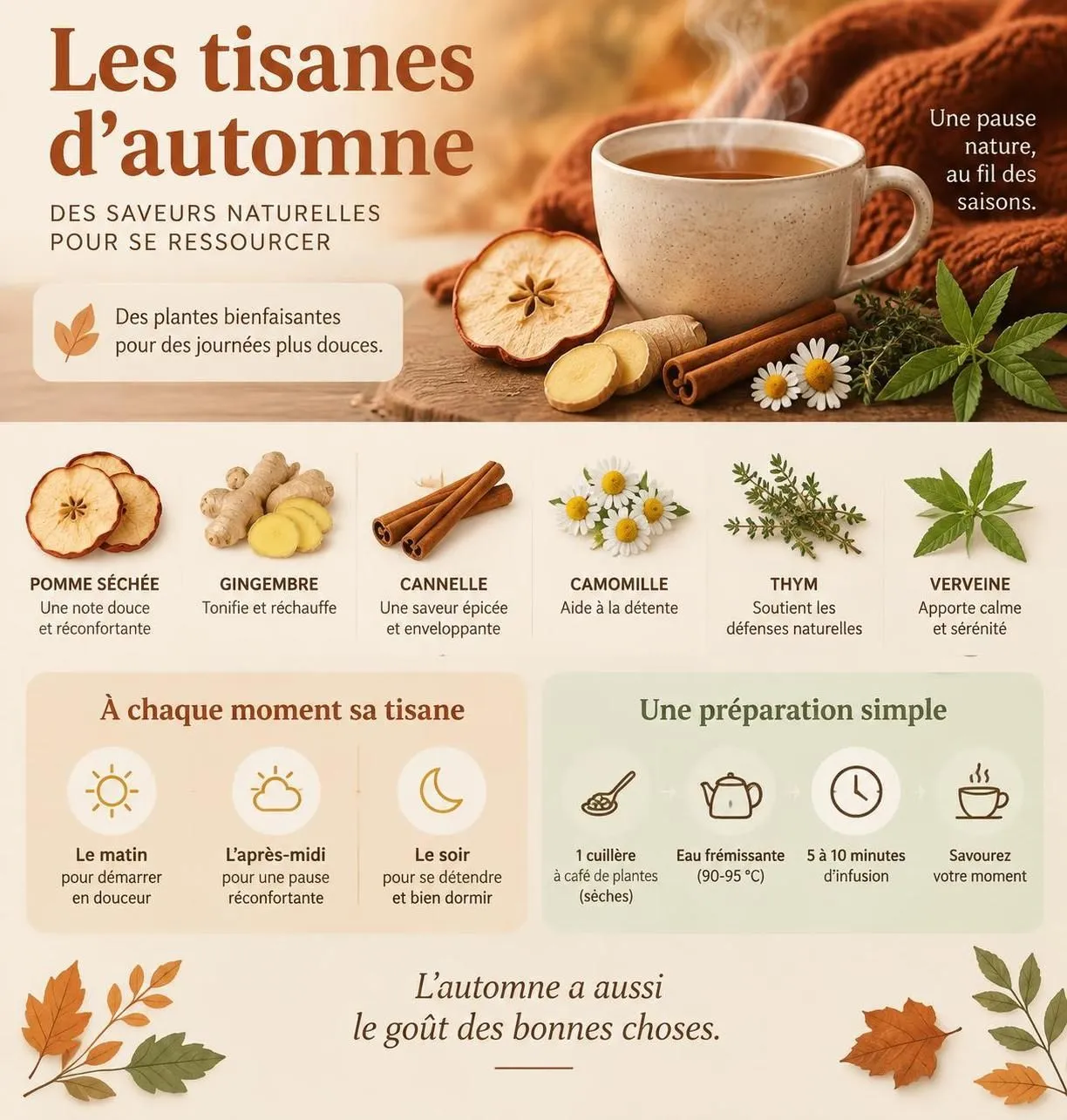 découvrez les plantes à infuser en automne pour prendre soin de votre peau, favoriser un sommeil réparateur et soutenir naturellement votre immunité.
