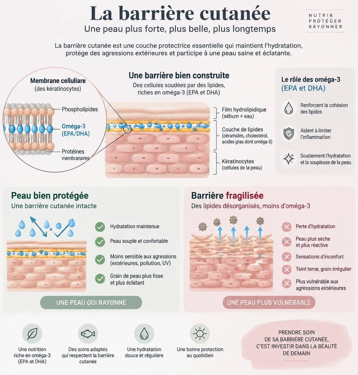 découvrez les bienfaits des oméga-3 pour la peau, les cheveux et les ongles, et ce que les études scientifiques révèlent sur leurs effets.