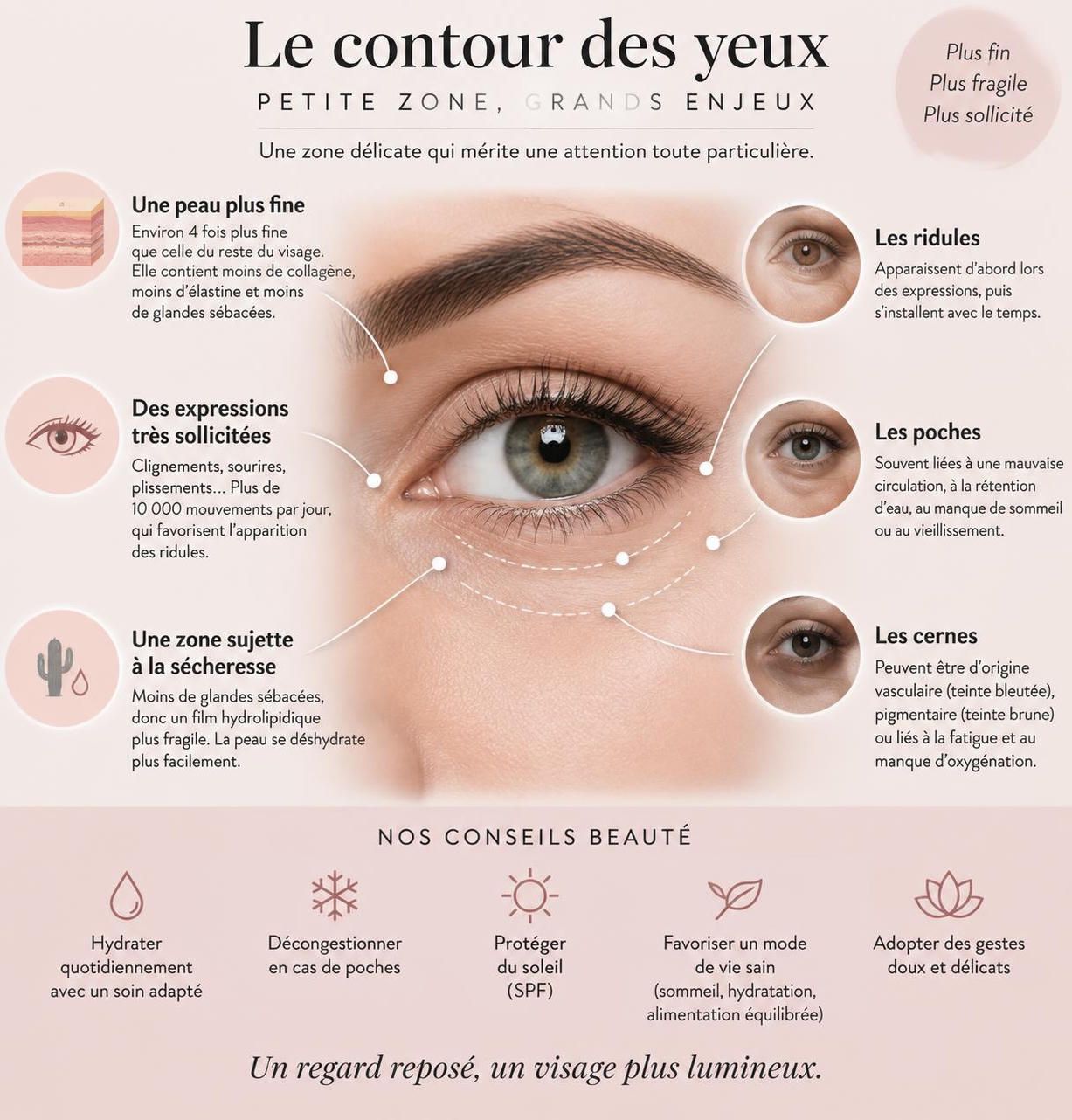découvrez les actifs anti-âge les plus efficaces pour le contour des yeux et apprenez à les appliquer correctement pour lisser rides, cernes et ridules.